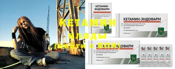 прущие грибы Верхний Тагил