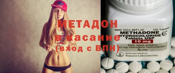 прущие грибы Верхний Тагил