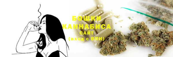 прущие грибы Верхний Тагил