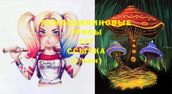 прущие грибы Верхний Тагил
