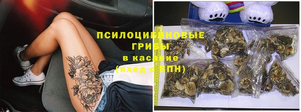 прущие грибы Верхний Тагил