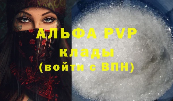 прущие грибы Верхний Тагил