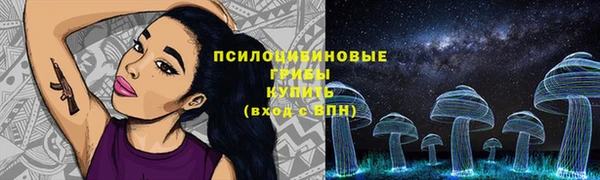 гидропоника Верея